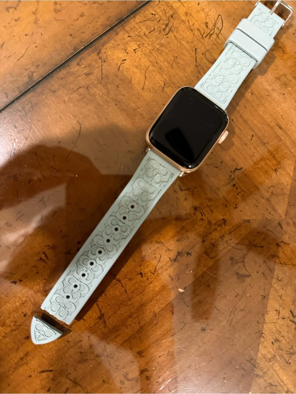 Apple Smartwatch with Sage Green/Blue Coach Silicone Band-READ DESCRIPTION